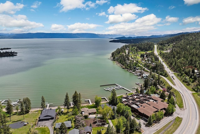 5675 US Highway 93 S Unit 10, Somers, MT 59932 - drone / aerial view of a water and mountain view