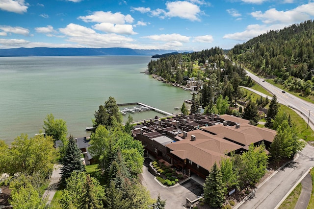 5675 US Highway 93 S Unit 10, Somers, MT 59932 - drone / aerial view of a water and mountain view