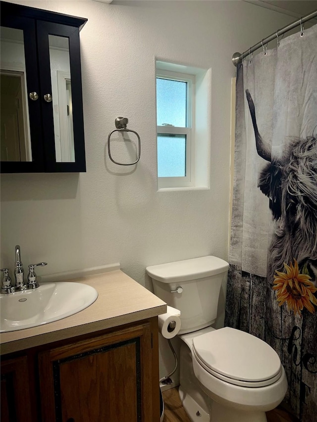 467 Grantsdale Rd Unit 16, Hamilton, MT 59840 - full bath with toilet and vanity