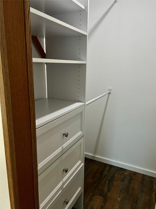 467 Grantsdale Rd Unit 16, Hamilton, MT 59840 - walk in closet featuring dark wood-style flooring