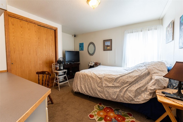 1709 20th Ave S, Great Falls, MT 59405 - bedroom featuring carpet