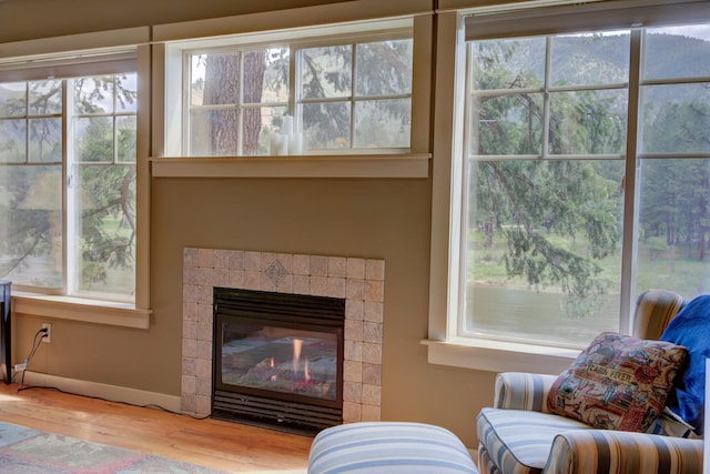 2055 Diamond Match Rd, Superior, MT 59872 - living room featuring wood finished floors, a fireplace, and plenty of natural light