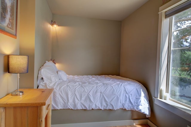 2055 Diamond Match Rd, Superior, MT 59872 - bedroom featuring a baseboard radiator