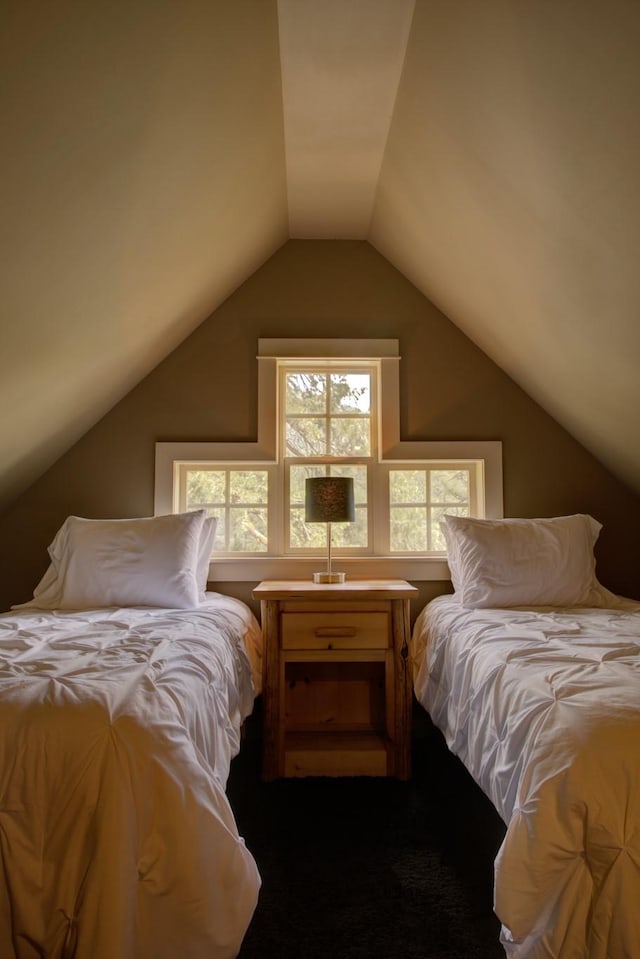 2055 Diamond Match Rd, Superior, MT 59872 - carpeted bedroom with lofted ceiling