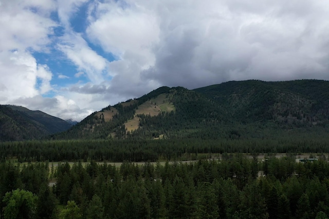 2055 Diamond Match Rd, Superior, MT 59872 - mountain view with a heavily wooded area