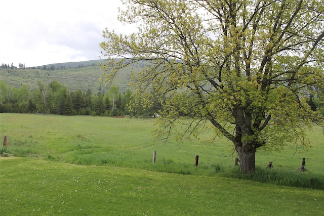 303 Swamp Creek Loop Rd, Trout Creek, MT 59874 - view of green lawn featuring a rural view