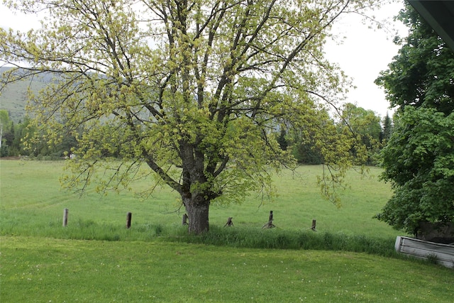 303 Swamp Creek Loop Rd, Trout Creek, MT 59874 - view of green lawn