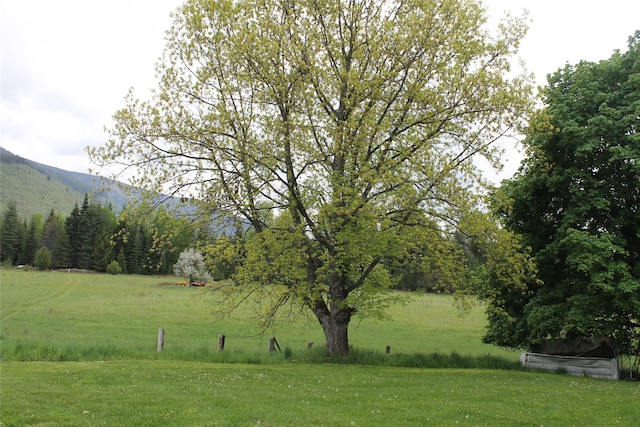 303 Swamp Creek Loop Rd, Trout Creek, MT 59874 - view of grassy yard with a mountain view