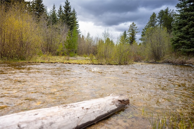 12520 Pinkham Creek Rd, Rexford, MT 59930 - view of yard