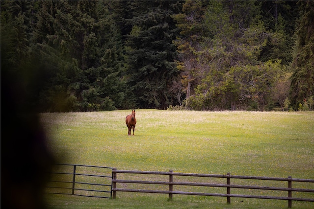 12520 Pinkham Creek Rd, Rexford, MT 59930 - surrounding community with a view of trees and a view of countryside
