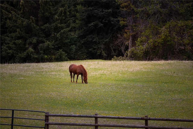 12520 Pinkham Creek Rd, Rexford, MT 59930 - view of yard