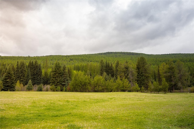 12520 Pinkham Creek Rd, Rexford, MT 59930 - view of green lawn featuring a wooded view