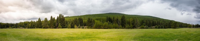 12520 Pinkham Creek Rd, Rexford, MT 59930 - mountain view with a forest