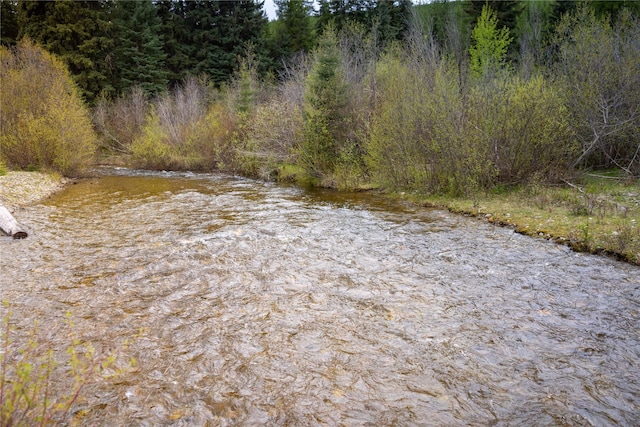 12520 Pinkham Creek Rd, Rexford, MT 59930 - view of tree filled area