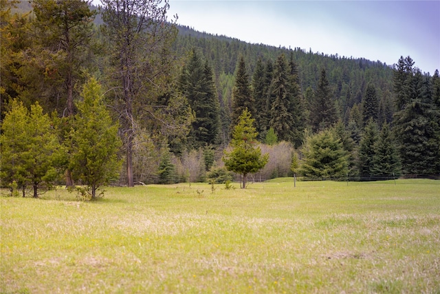 12520 Pinkham Creek Rd, Rexford, MT 59930 - view of yard featuring a view of trees