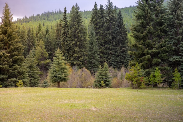 12520 Pinkham Creek Rd, Rexford, MT 59930 - view of green lawn with a wooded view
