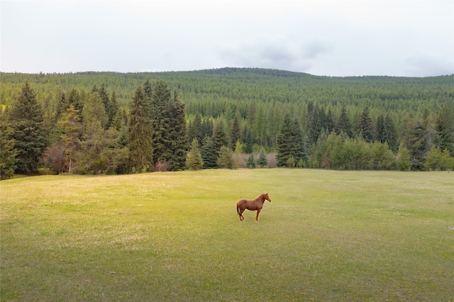 12520 Pinkham Creek Rd, Rexford, MT 59930 - view of green lawn with a forest view and a view of countryside
