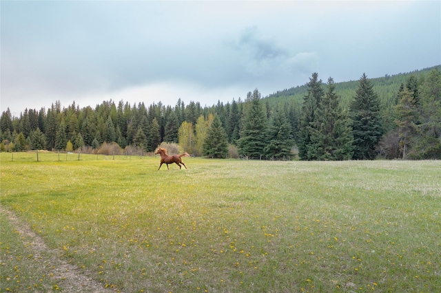 12520 Pinkham Creek Rd, Rexford, MT 59930 - view of yard featuring a wooded view and a rural view