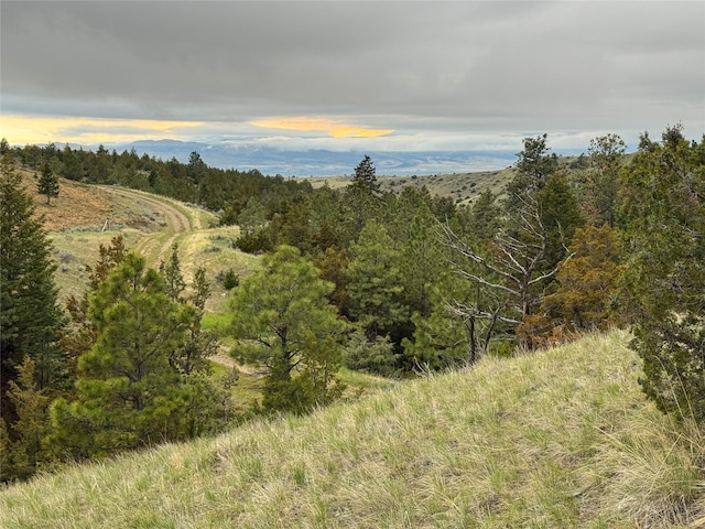 222 S Fork Ray Creek Rd, Townsend, MT 59644 - view of wooded area