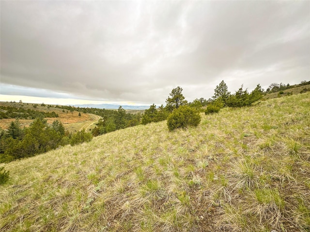 222 S Fork Ray Creek Rd, Townsend, MT 59644 - view of undeveloped land