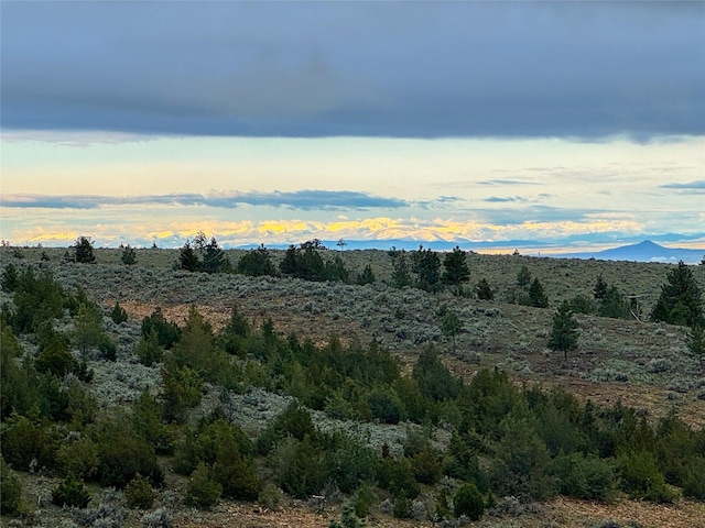 222 S Fork Ray Creek Rd, Townsend, MT 59644 - view of local wilderness