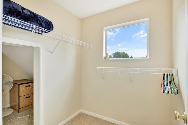 2795 Renae Ct, Missoula, MT 59804 - spacious closet featuring carpet flooring