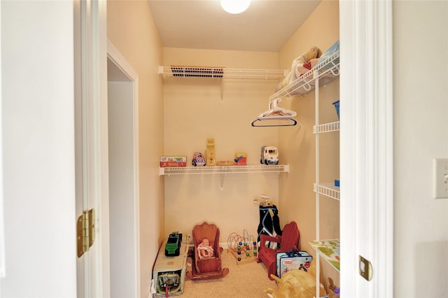 2795 Renae Ct, Missoula, MT 59804 - view of walk in closet