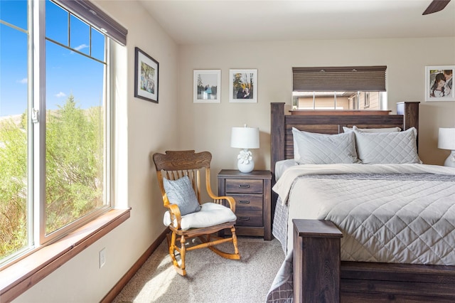 89 Alyvia Ln, Butte, MT 59701 - bedroom with multiple windows, carpet floors, and baseboards