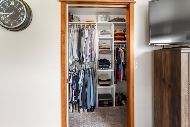 89 Alyvia Ln, Butte, MT 59701 - view of closet