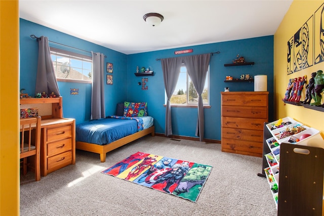 89 Alyvia Ln, Butte, MT 59701 - view of carpeted bedroom