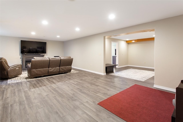 89 Alyvia Ln, Butte, MT 59701 - living room with wood finished floors, recessed lighting, and baseboards