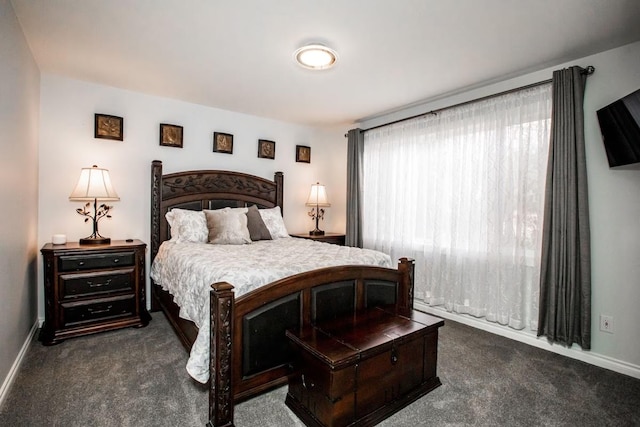 883 Saint Andrews Dr, Columbia Falls, MT 59912 - bedroom featuring dark colored carpet and baseboards