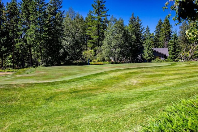883 Saint Andrews Dr, Columbia Falls, MT 59912 - view of grassy yard with golf course view and view of scattered trees