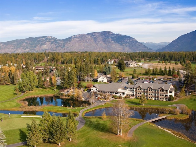 883 Saint Andrews Dr, Columbia Falls, MT 59912 - mountain view featuring a large body of water and a forest