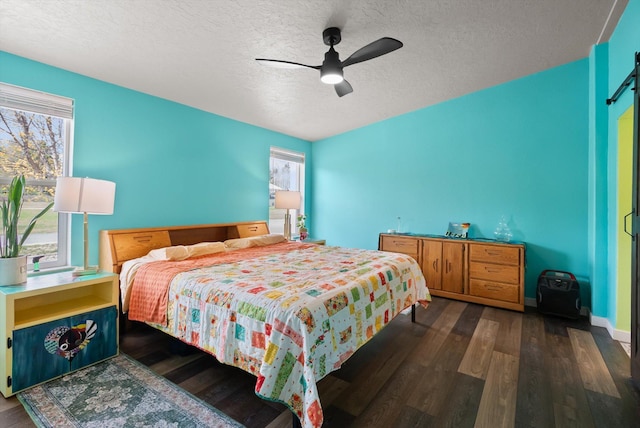 245 Blanchard Lake Rd, Whitefish, MT 59937 - bedroom featuring a textured ceiling, wood finished floors, and a ceiling fan