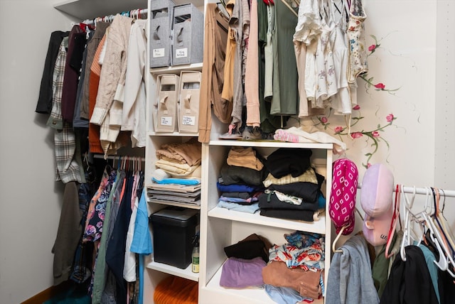 245 Blanchard Lake Rd, Whitefish, MT 59937 - view of closet