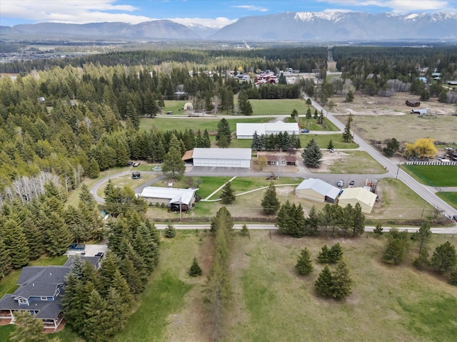 245 Blanchard Lake Rd, Whitefish, MT 59937 - drone / aerial view of mountains and a forest
