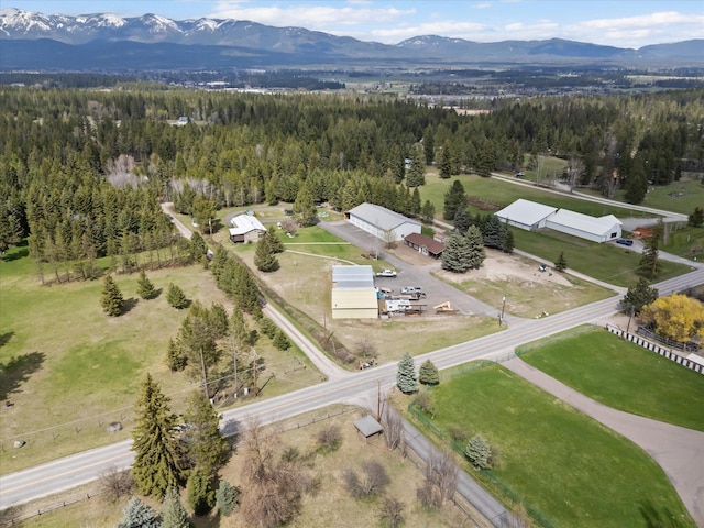 245 Blanchard Lake Rd, Whitefish, MT 59937 - drone / aerial view of mountains