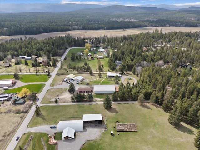 245 Blanchard Lake Rd, Whitefish, MT 59937 - view of property location featuring a forest and a mountain backdrop