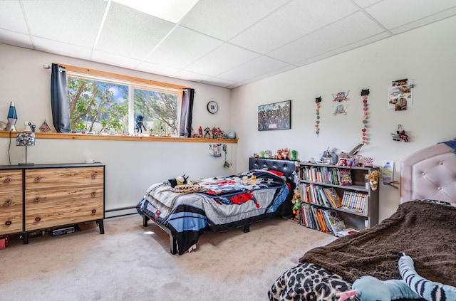 30 Knapp Ln, Kalispell, MT 59901 - bedroom featuring carpet flooring, a paneled ceiling, and baseboard heating