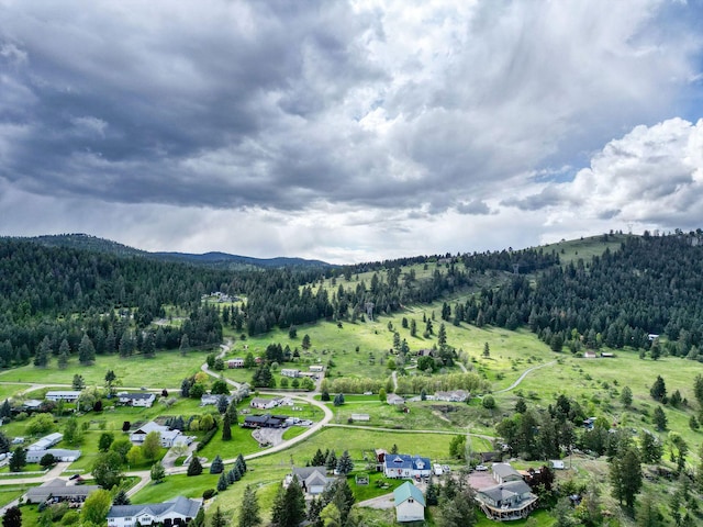30 Knapp Ln, Kalispell, MT 59901 - aerial view of a forest and a mountainous background