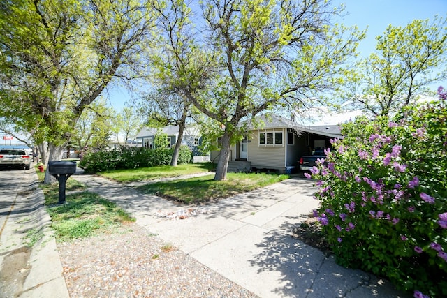 312 12th Ave N, Shelby, MT 59474 - view of side of home with driveway, an attached carport, and entry steps