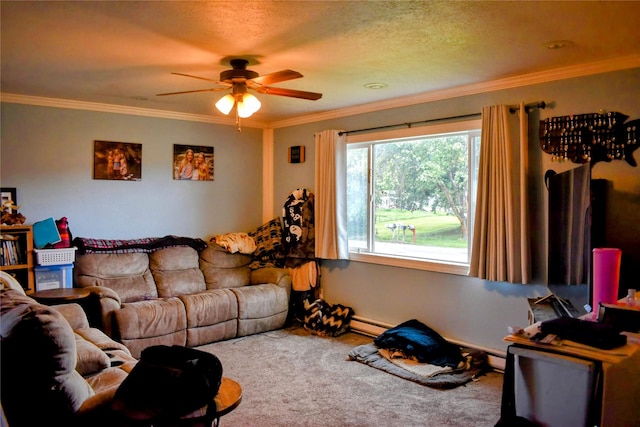 83 Indian Head Rd, Libby, MT 59923 - carpeted living room with healthy amount of natural light, ceiling fan, crown molding, and baseboard heating