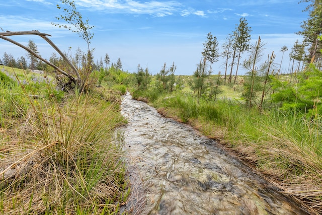 LOT11 Roaring Lion Rd, Hamilton, MT 59840