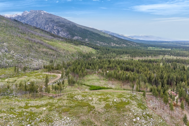 LOT11 Roaring Lion Rd, Hamilton, MT 59840