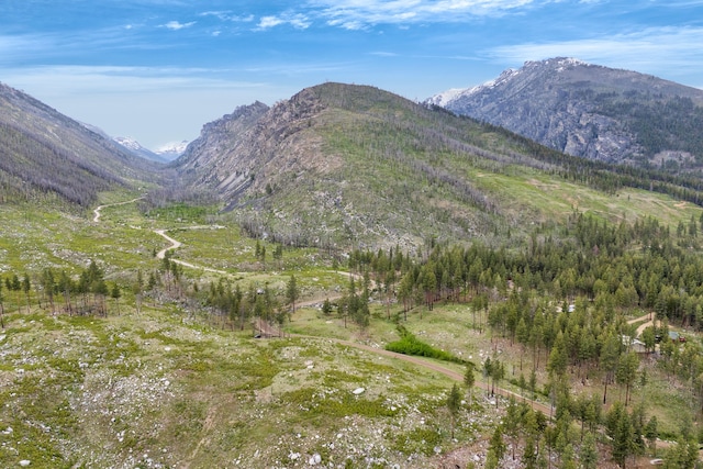 LOT11 Roaring Lion Rd, Hamilton, MT 59840