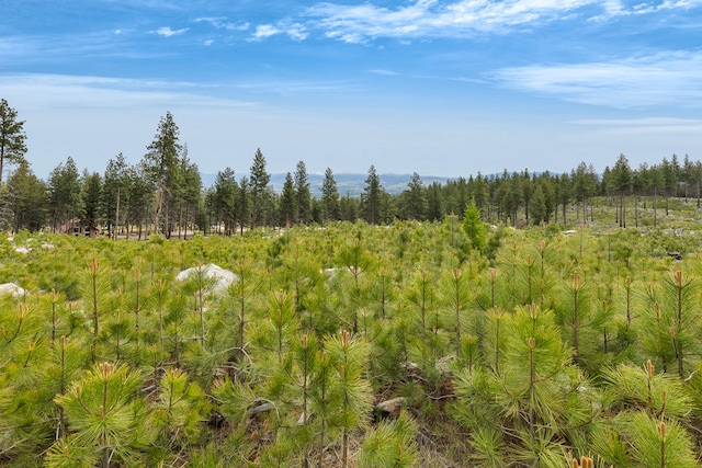 LOT11 Roaring Lion Rd, Hamilton, MT 59840