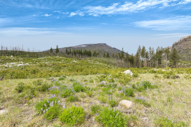 LOT11 Roaring Lion Rd, Hamilton, MT 59840