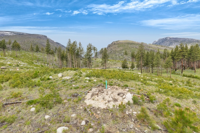 LOT11 Roaring Lion Rd, Hamilton, MT 59840