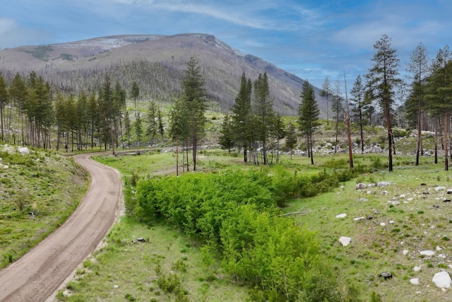 LOT11 Roaring Lion Rd, Hamilton, MT 59840